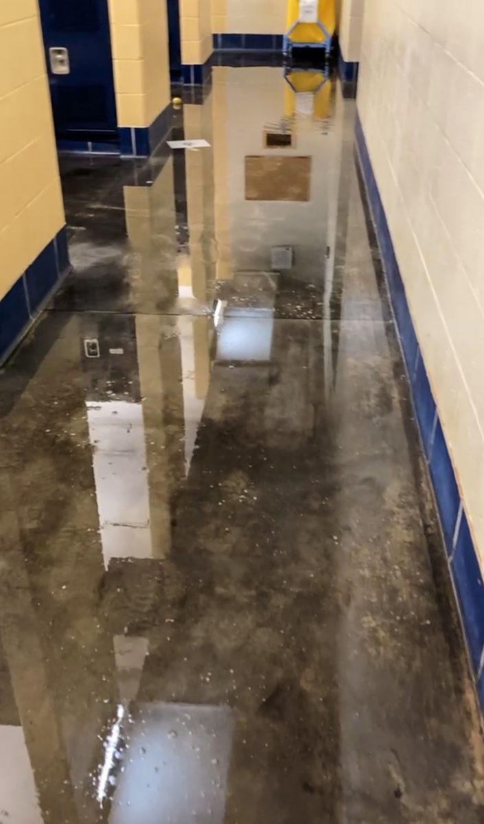 Nobles (Temporarily) Gets an Indoor Swimming Pool: The MAC Flood