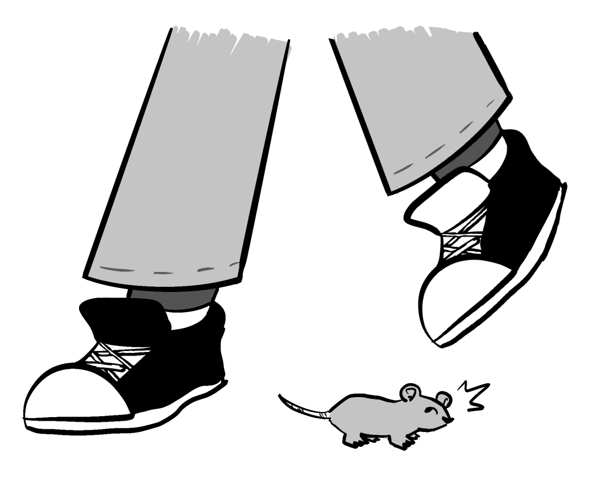 Rodent Rampage: Nobles’ Infamous Mice Takeover