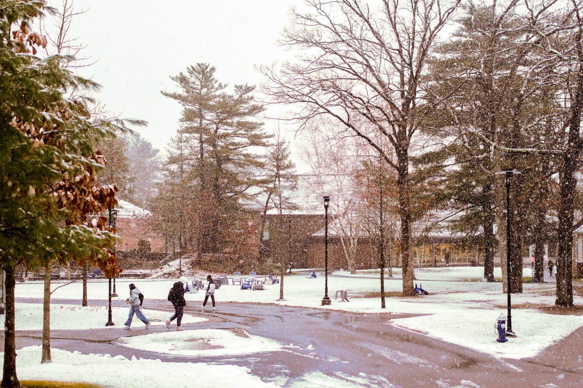 A Guide to Winter Wellness and Evading Hibernation
