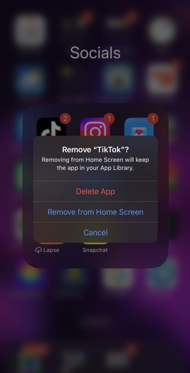 (Not So Popular) Opinion: TikTok Should be Permanently Banned