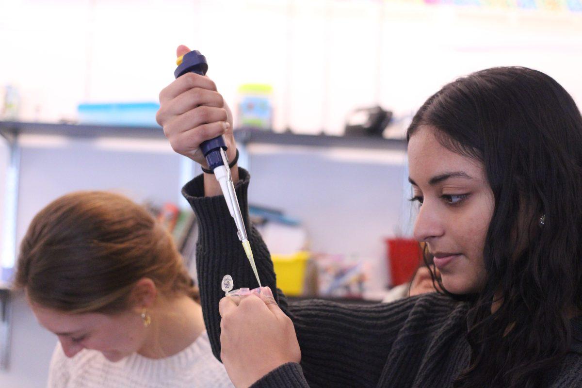 Major Expectations: Finding Your College Path at Nobles