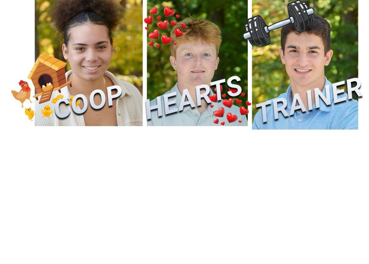 The (Nick)name Game