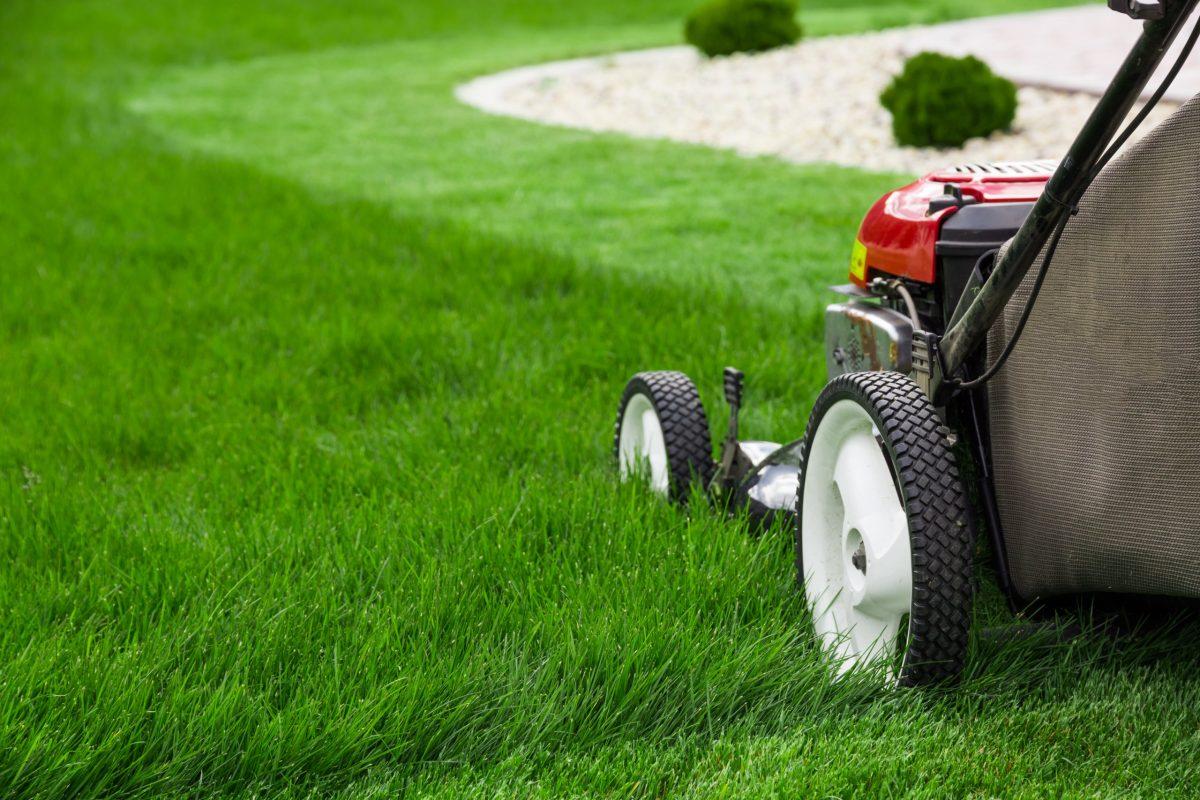 The Man Behind the Mower