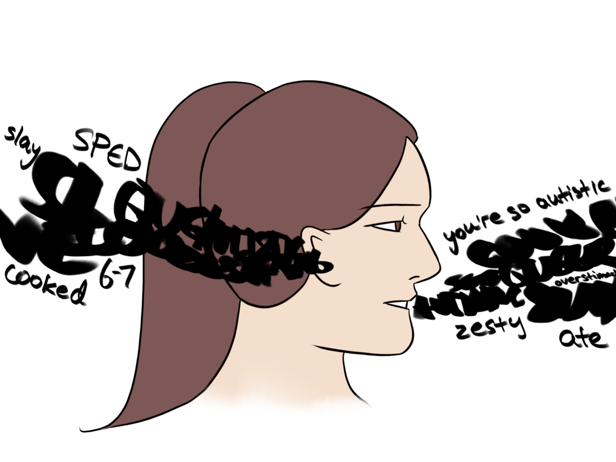 Typical slang words used frequently by Nobles students