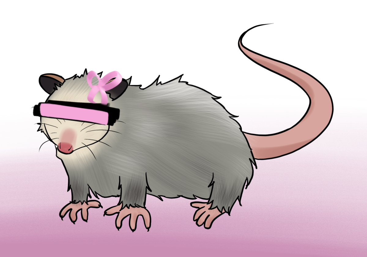 When the Opossum’s Away, the Mice Can Play