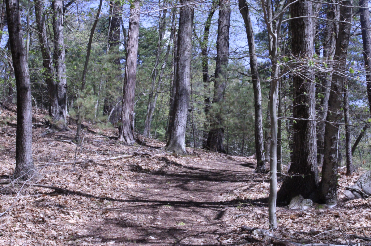 New Cross Country practice trails